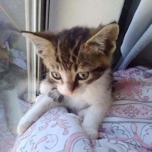 Meet your Posher, Jorge